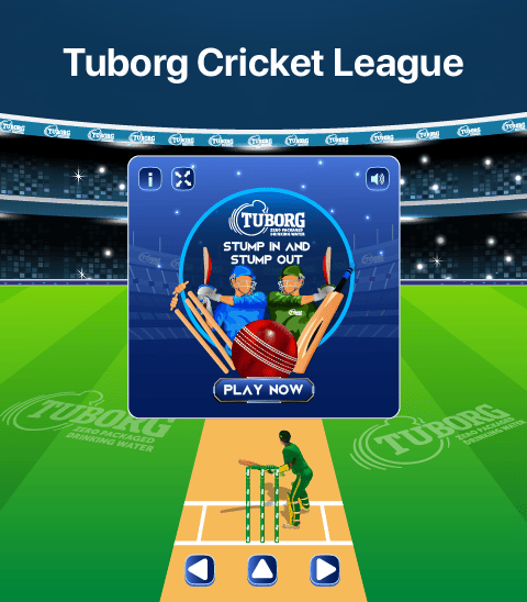 Tuborg's Custom 3D Cricket Game
