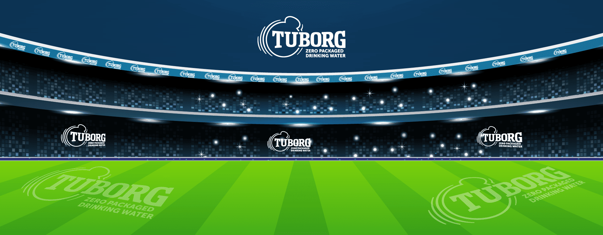Tuborg's Custom 3D Cricket Game